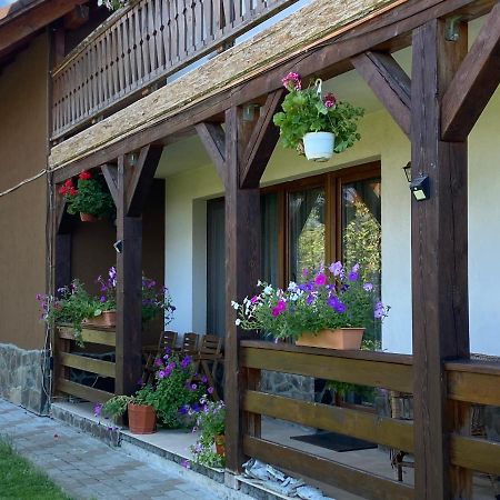 Pensiunea Rares Bistrita Bargaului 外观 照片