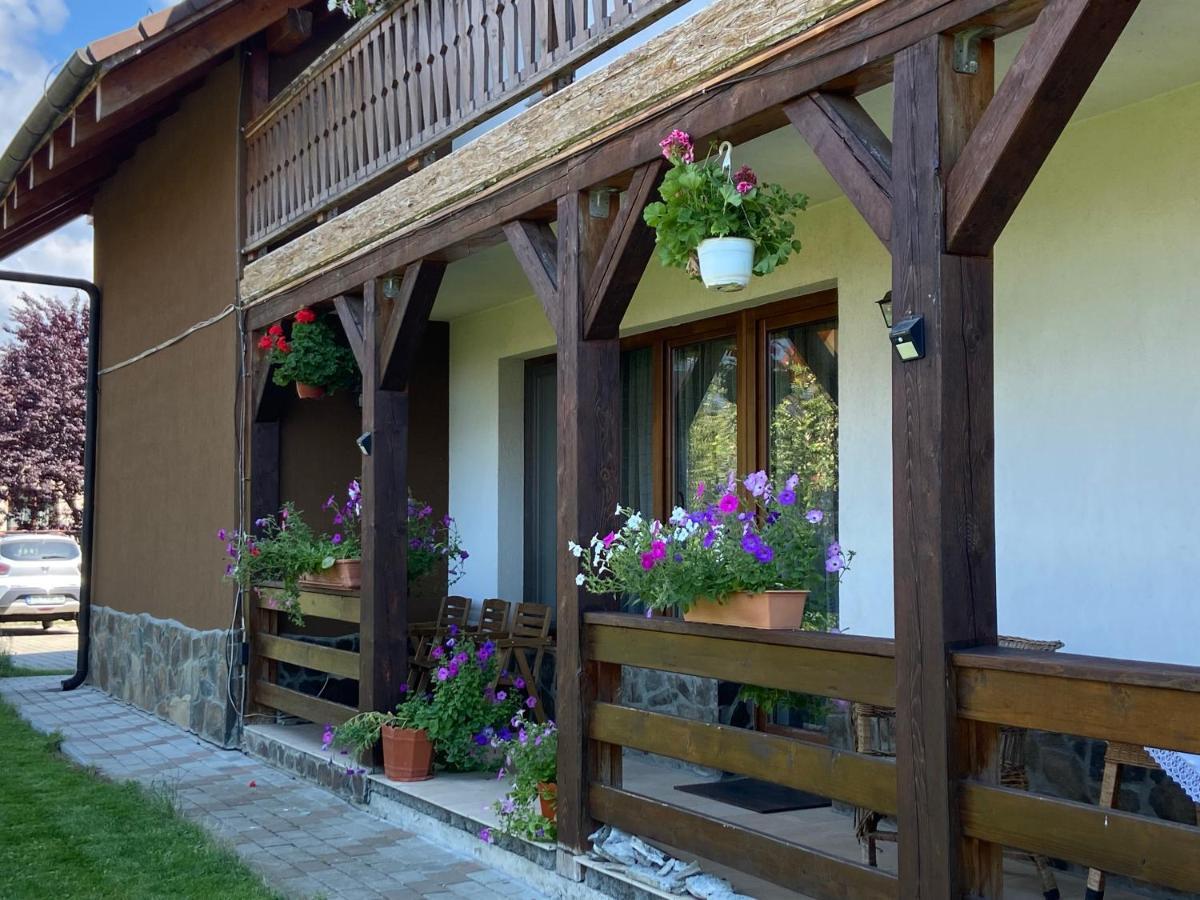 Pensiunea Rares Bistrita Bargaului 外观 照片