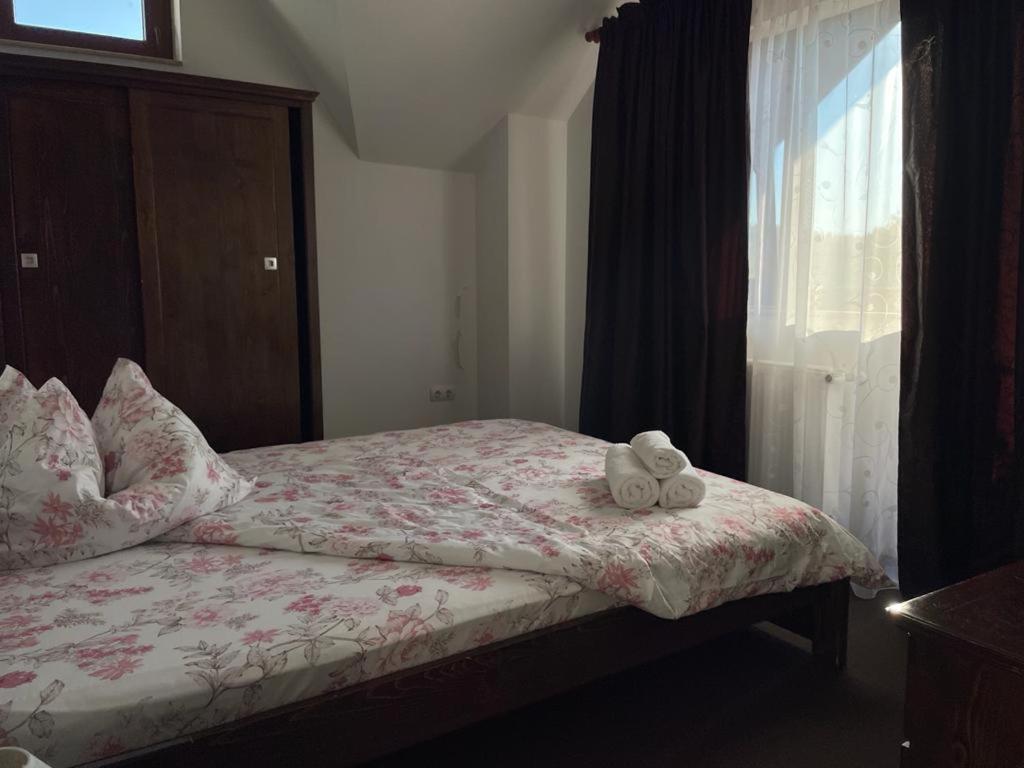 Pensiunea Rares Bistrita Bargaului 外观 照片
